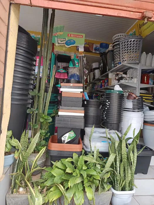 Entrada da loja com vasos, cestos de roupa, baldes e plantas